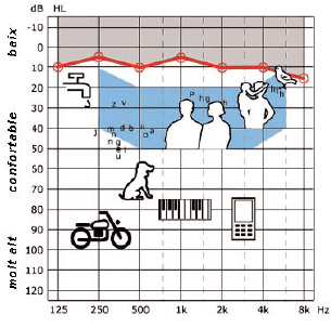 Mostra gràfica de l'evolució dels decibels